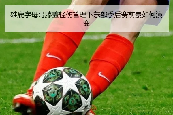雄鹿字母哥膝盖轻伤管理下东部季后赛前景如何演变